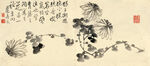 清 边寿民 杂画 菊花
