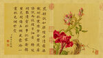 清 郎世宁 花鸟图册
