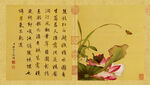 清 郎世宁 花鸟图册