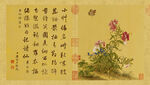 清 郎世宁 花鸟图册