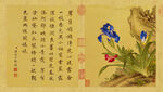 清 郎世宁 花鸟图册