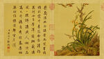 清 郎世宁 花鸟图册