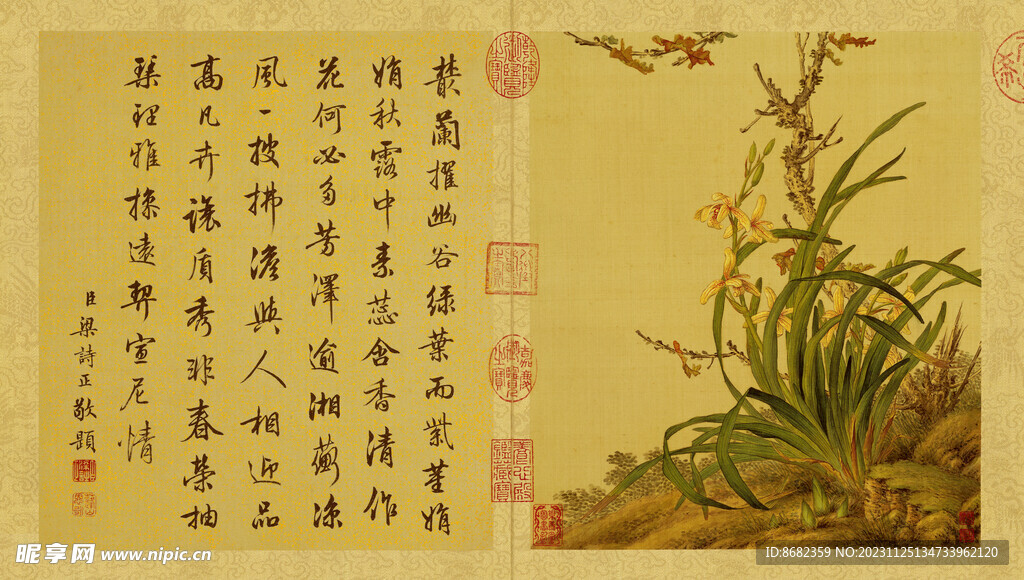 清 郎世宁 花鸟图册