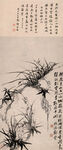 郑板桥-幽兰图