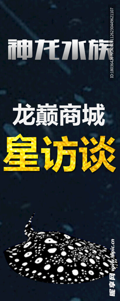 观赏鱼水族星访谈海报