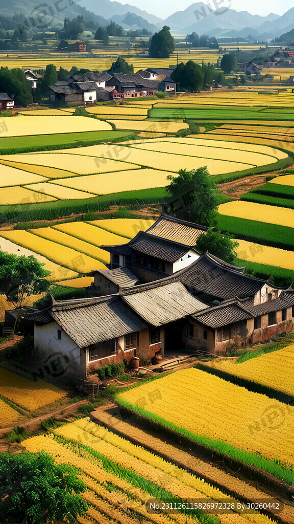 农业 乡村振兴