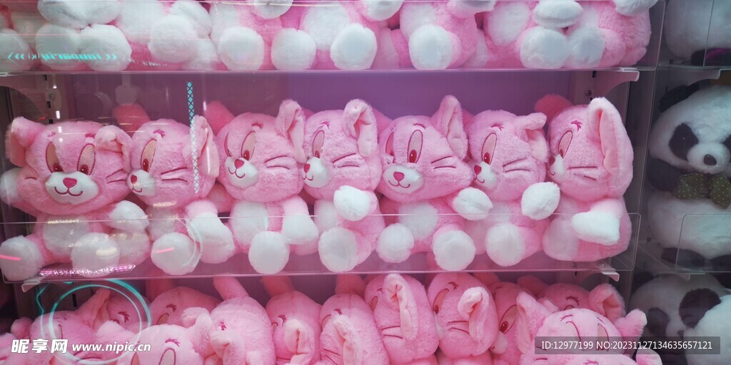粉红色猫咪 
