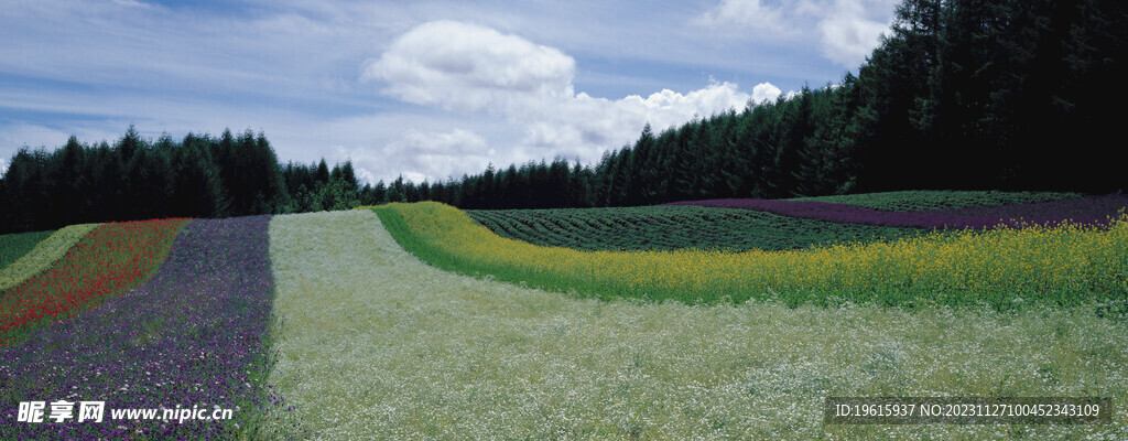 自然风景 山水风光 自然风光 