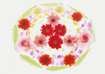 花团锦蔟