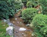 山水风光