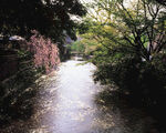 山水风光