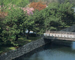 山水风光