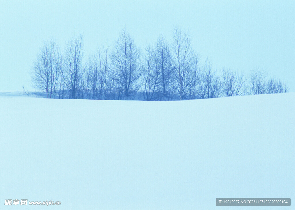 雪景