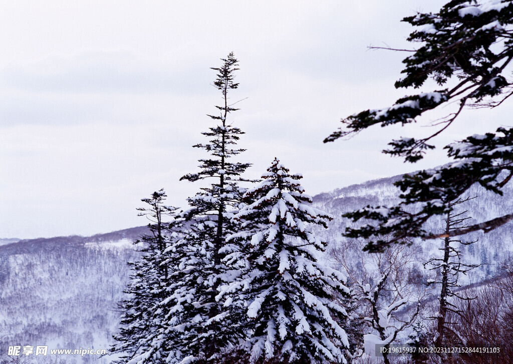 雪景