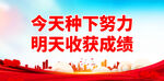 今天种下努力 
