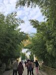 白马寺泰式建筑