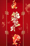锦鲤驾到