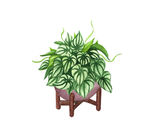 盆栽
