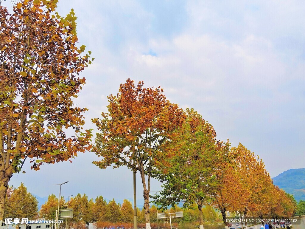 秋天
