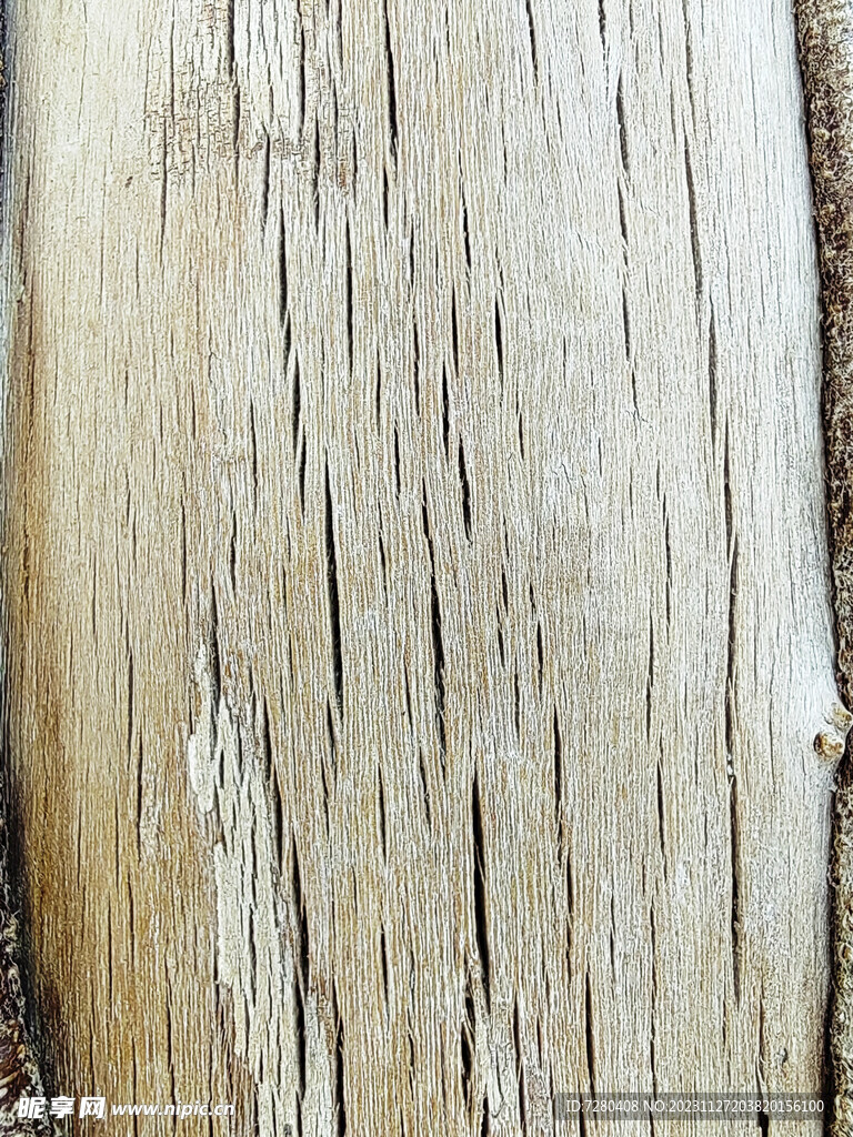 木纹素材