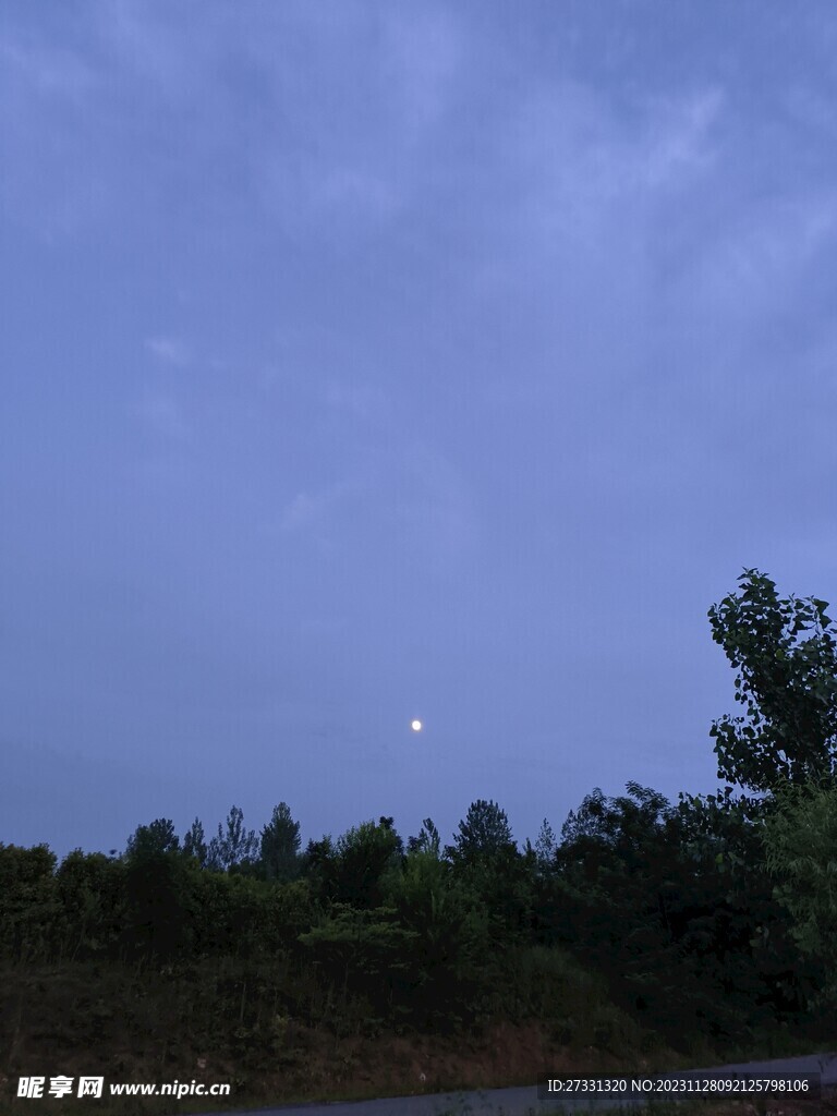 森林夜景