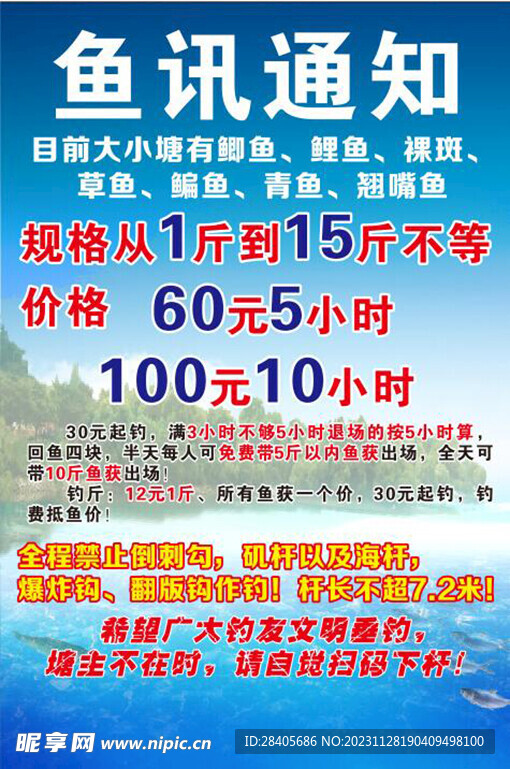 鱼汛