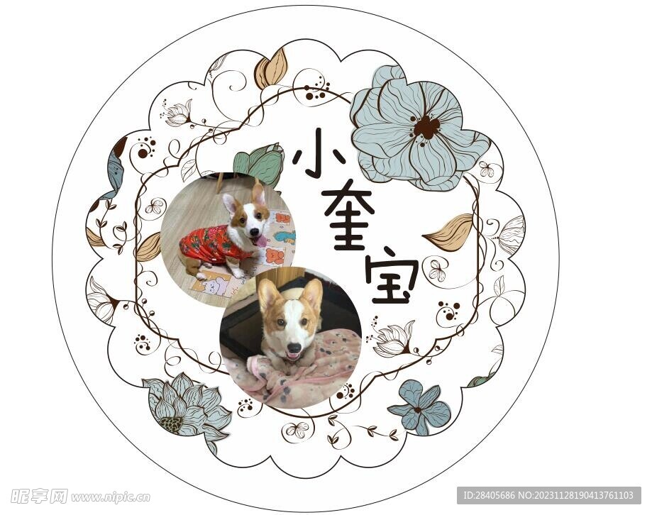 圆形