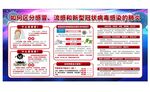 区分流感和新型冠状病毒感染的肺