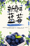新鲜蓝莓