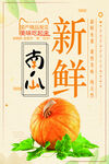 新鲜南瓜