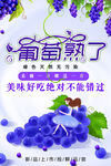 葡萄