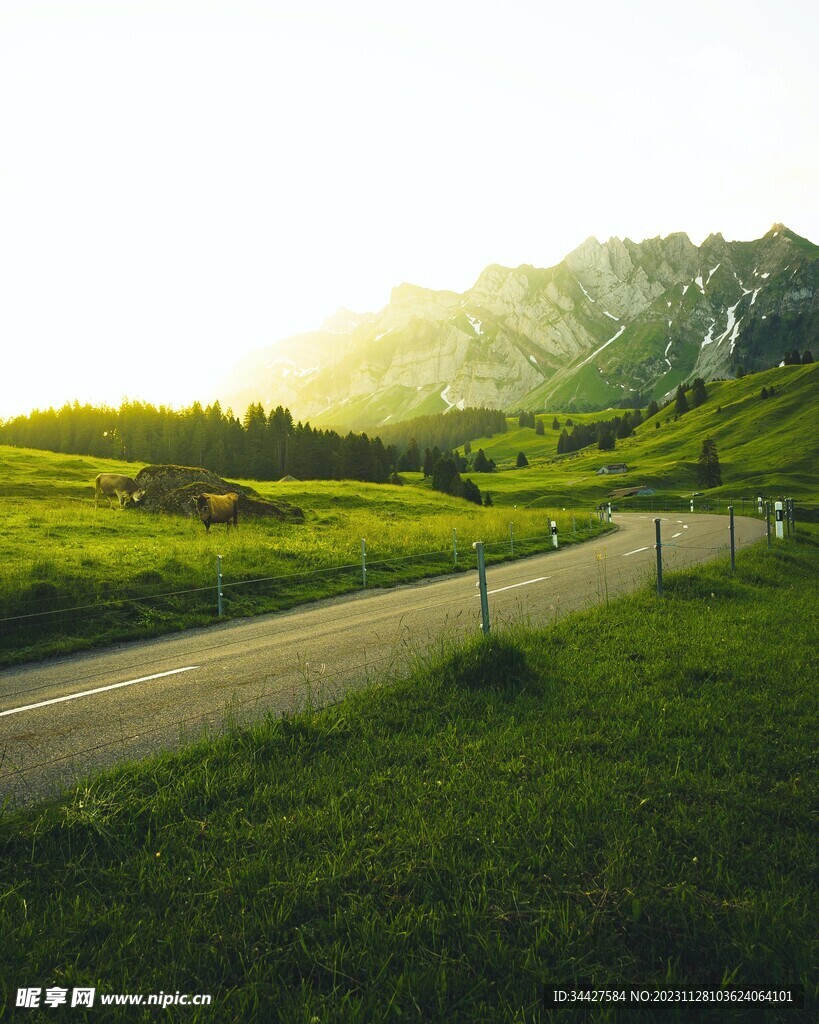 山野道路风景