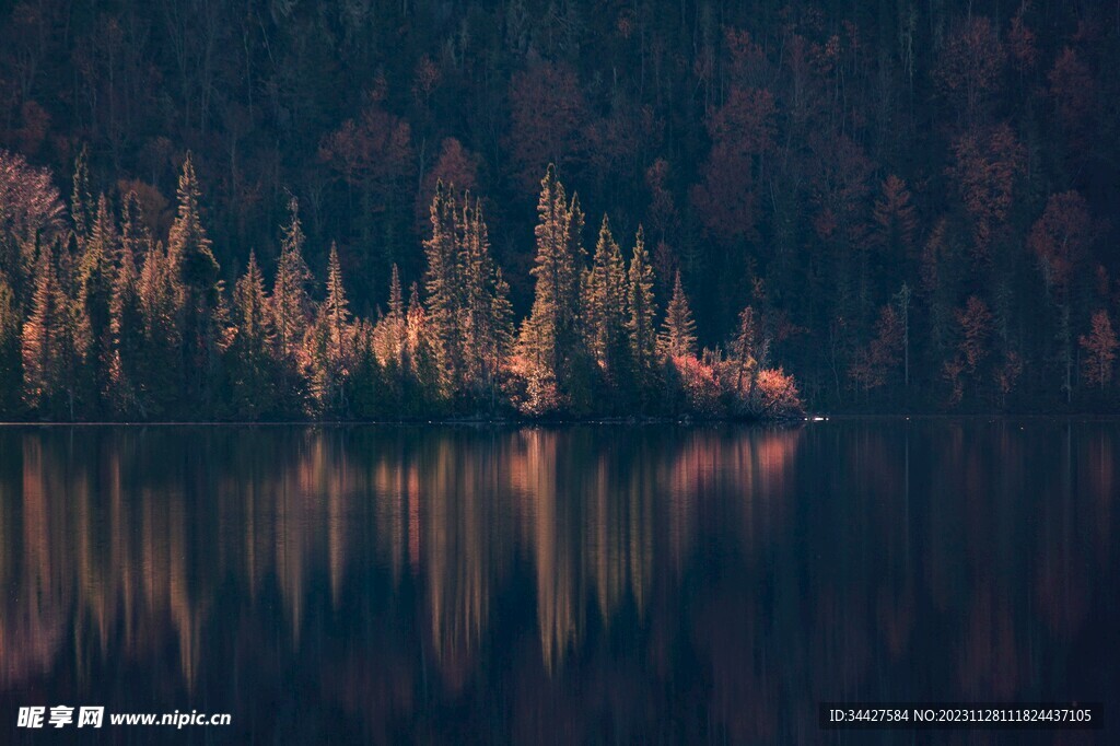 树林湖景