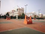 篮球场