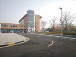 学校的小路