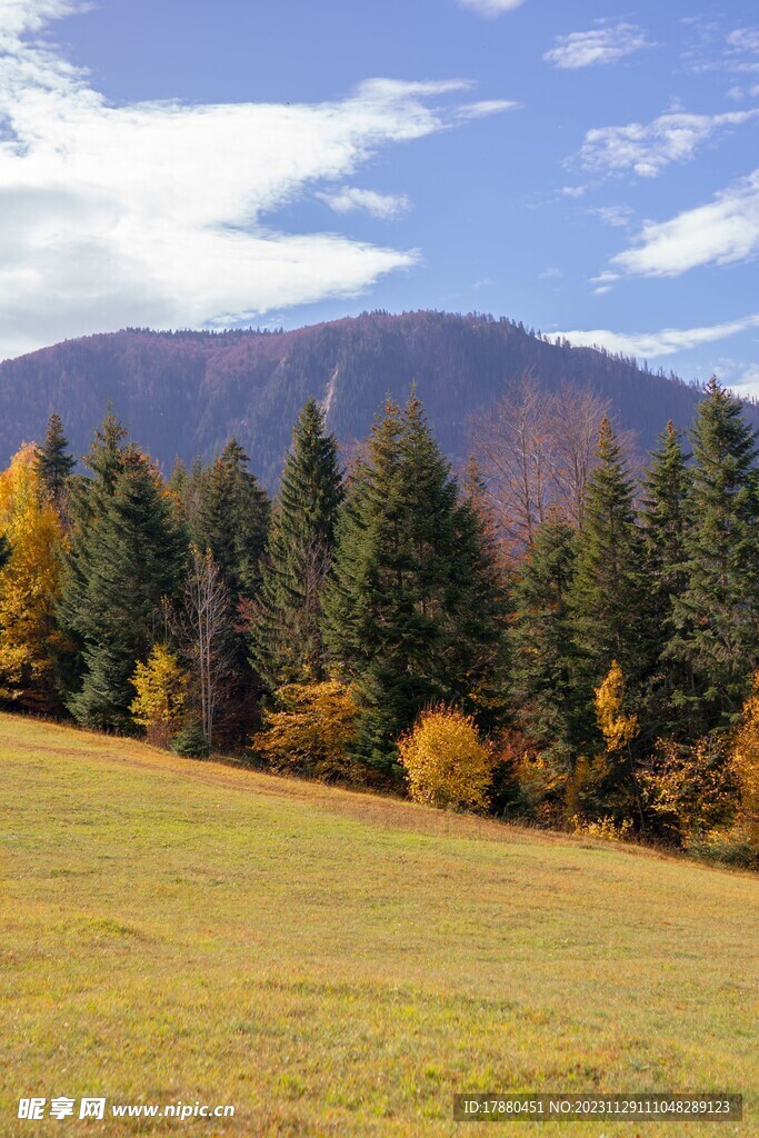 山林