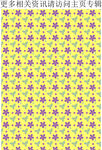 花卉底纹 小碎花 印花