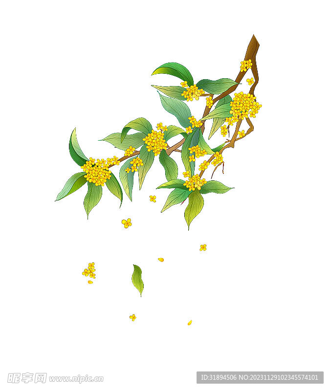 金桂飘香