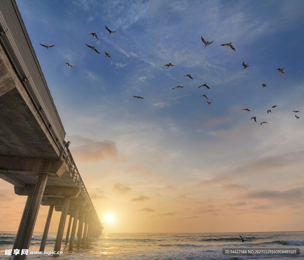 夕阳海景和飞鸟