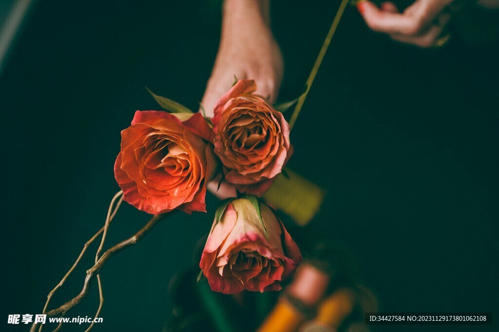 玫瑰花
