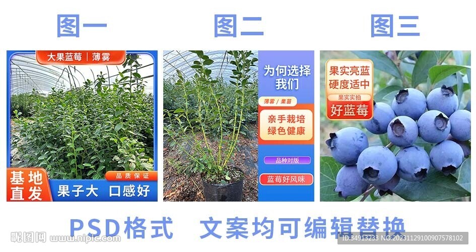 蓝色淘宝主图