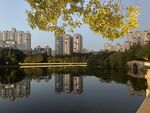 公园风景