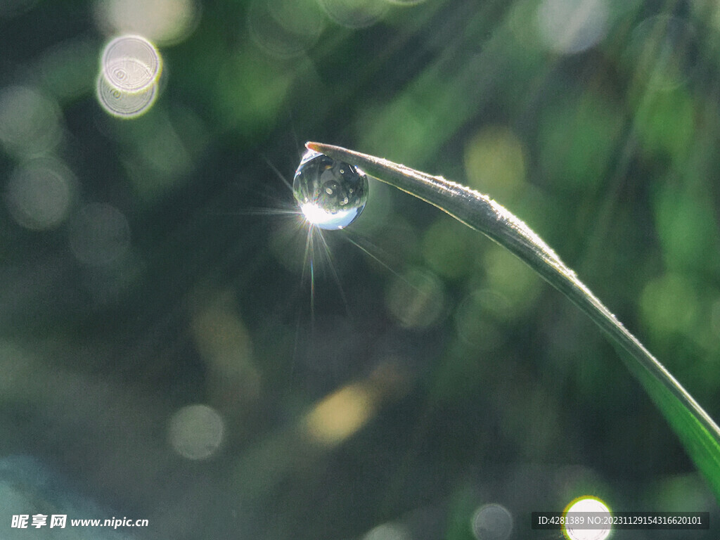 水滴