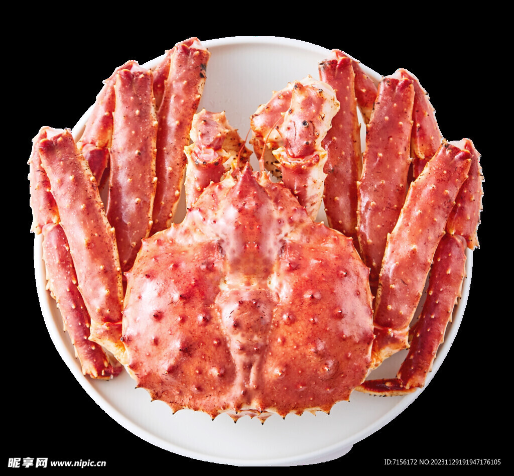 帝王蟹 PNG 透明素材