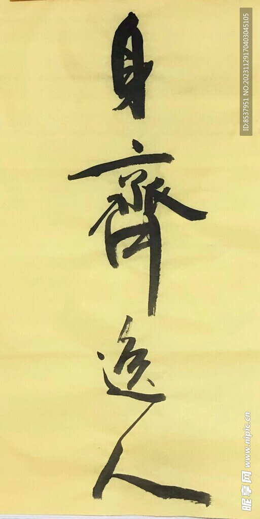 身齐逸人