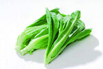 油麦菜