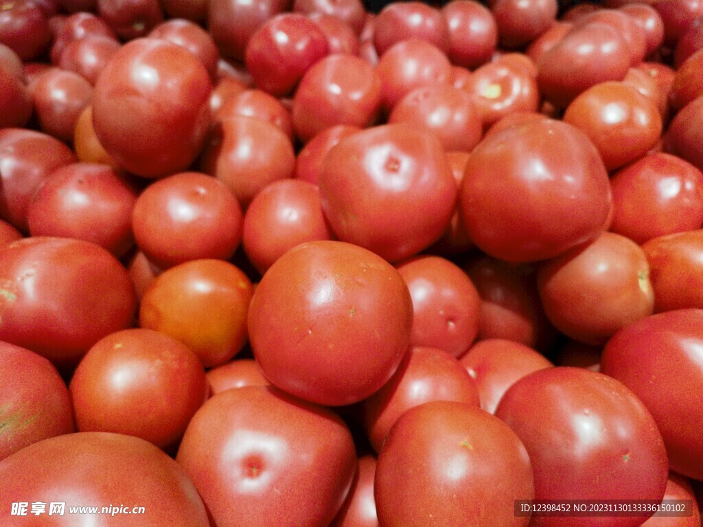番茄