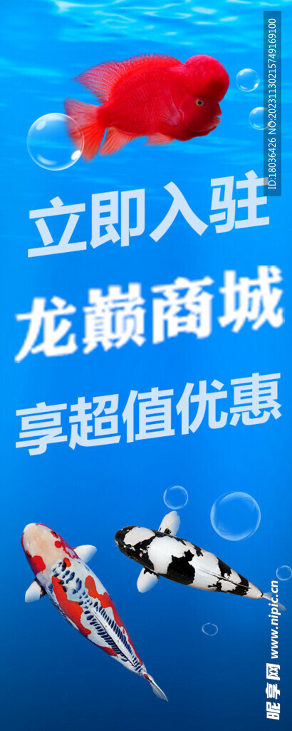 水族电商活动海报banner