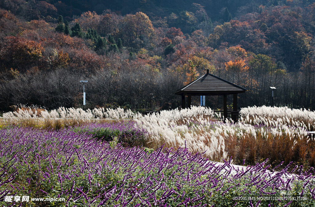 自然风景