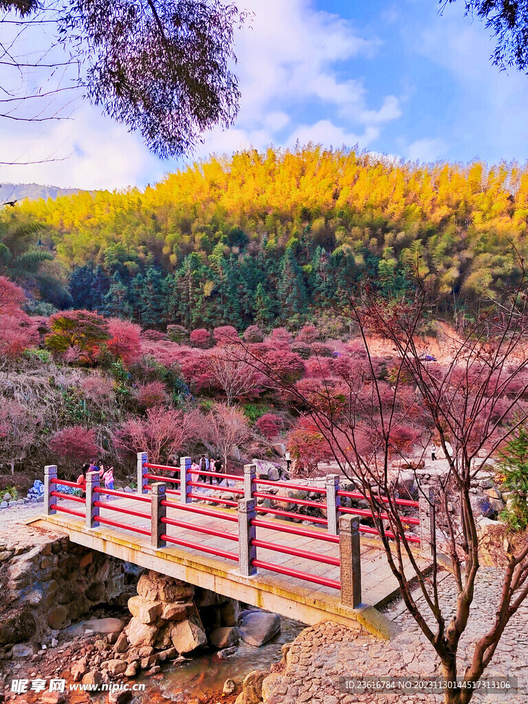 木桥风景